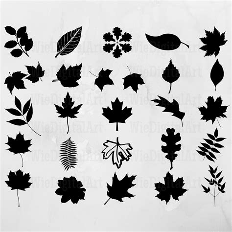 Fall Leaves SVG, JPG & PNG | Fall Leaves Clip Art | Master Bundles