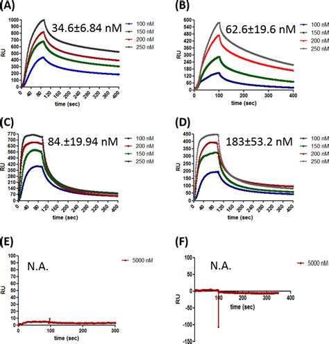 Surface Plasmon Resonance Analysis Of Hpdpra Hprf And Hpdml1 Download Scientific Diagram