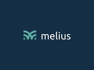 MELIUS Na Internet encontramos um vasto depósito de informações ...