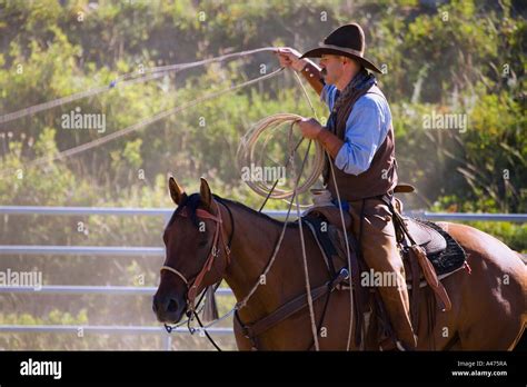 Cowboy with lasso Stock Photo - Alamy