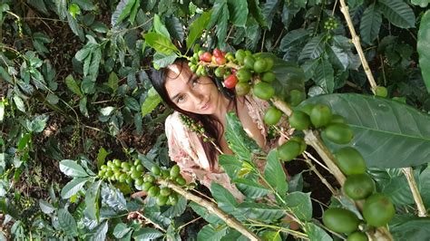 Swmilena Hot S Homepage On MyFreeCams