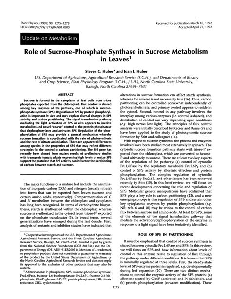 (PDF) Role of Sucrose-Phosphate Synthase in Sucrose Metabolism in Leaves