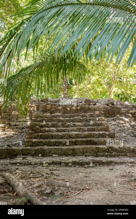 Ancient Mayan Ruins Of Chacchoben In The Jungle Near The Cruise