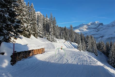 Winter Forest Desktop Seasons, winter, switzerland, uri, spiringen, snow, nature, roads ...