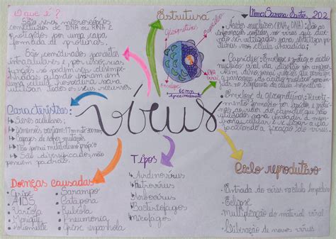 Mapa mental sobre os vírus Biologia