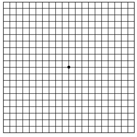 Diagnosing Age-related Macular Degeneration - AMDF