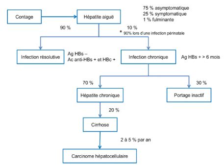 Memoire Online La prise en charge de l hépatite B Youssouf Mohamed