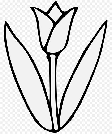 Tulip Flower Clip Art Black And White