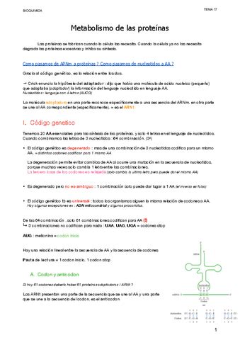 Metabolismo De Las Proteinas Pdf