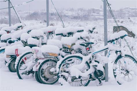 2022年：极端寒潮！大雪、暴雪、冻雨！倒春寒？今年又成灾年了？气象年景相关