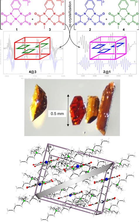 Top Schematic Representation Of The Successful Co Crystallization Of A