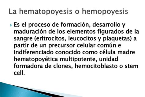 Sangre Definición Hematopoyesis Función Composición Importancia Ppt Descargar