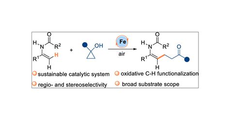 Stereoselective Iron Catalyzed Alkylation Of Enamides With