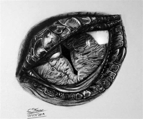 Dragon Eye Drawing By Lethalchris On Deviantart