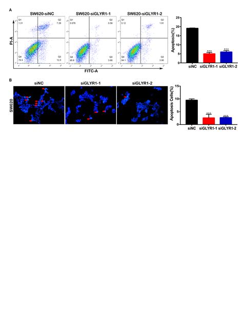 Downregulation Of GLYR1 Contributes To Microsatellite Instability