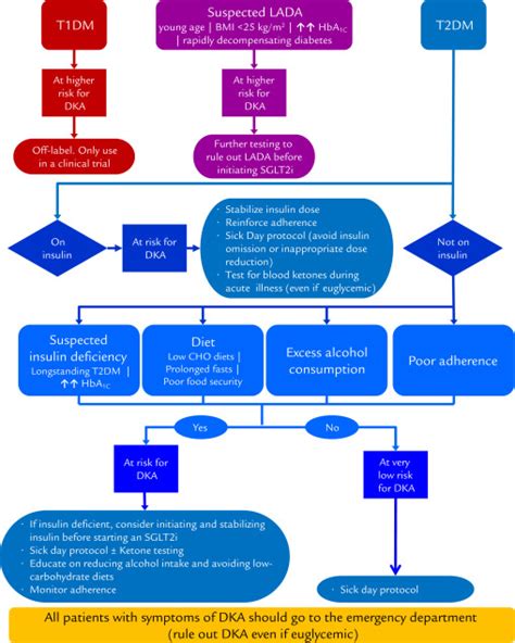 Sglt2 Inhibitor Associated Diabetic Ketoacidosis Clinical Review And