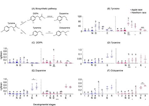 Quantification Of Biogenic Amines And Their Precursors Across The