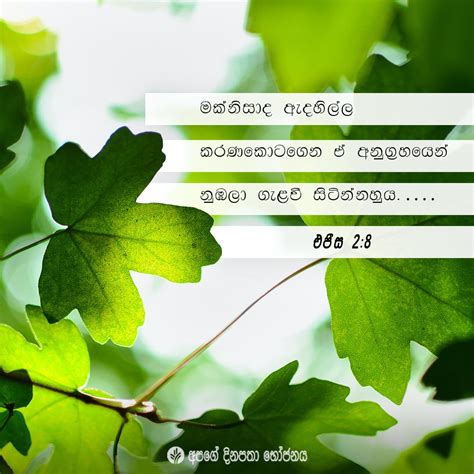 Share Odb Sinhala Our Daily Bread