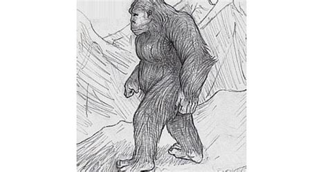 DNA study solves mystery of Himalayan Yeti, with surprising results ...