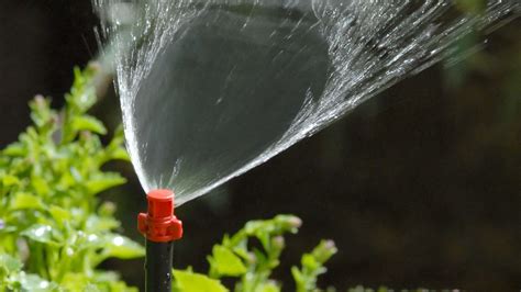 Border Mini Sprinklers Micro Sprinklers Border Mini Sprayers Micro