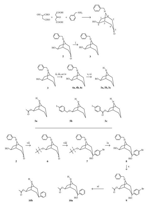 Reagents And Conditions I Nh2nh2 Naoh Ii Ac2o Pyridine Iii Download Scientific