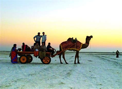 Kutch Rann Utsav Gujarat 2024-25 | Popular Festivals in Gujarat