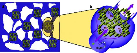 Schematics Of Nafb Composite Membrane And Its Proton And Methanol