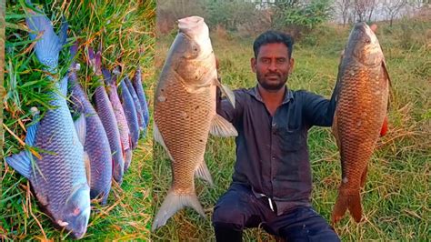 Wow Amazing Fishing Videos Rohu Fishing Big Catla Fish Catching