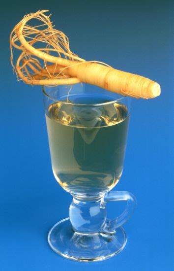 Ginseng Panax Ginseng Ginseng Wine Ginseng Editorial Stock Photo