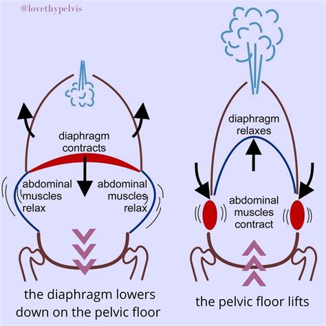 throwing  diaphragm  alana toomey blog