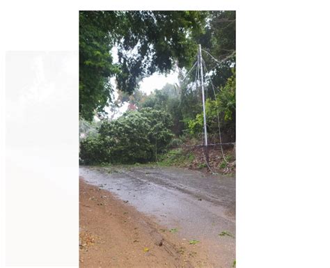 VIDEOS Vientos Y Lluvias Causan Estragos En Isla De Margarita