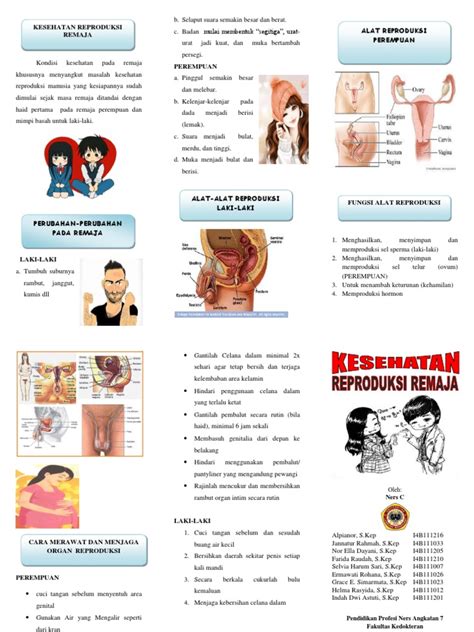 Leaflet Kesehatan Reproduksi Remaja Pdf