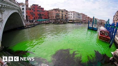 Venice Canal Patch Turns Fluorescent Green