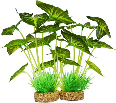 Best Silk Aquarium Plants 2020 - Get aquarium fish