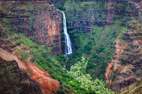 Waimea Valley Waterfall | IMI Tours | Oahu Tours & Attractions