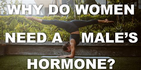 Why Women Need Male Hormone - FL Center for Hormones & Wellness