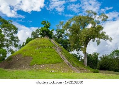 Ancient Mayan Ruins Altun Ha Belize Stock Photo 1782132080 | Shutterstock