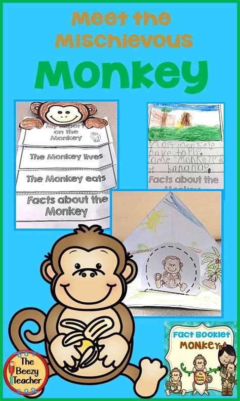 Monkey Fact Booklet With Digital Activities Digital Activities