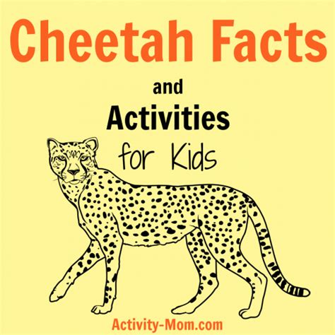 Fun Cheetah Facts and Activities for Kids - The Activity Mom