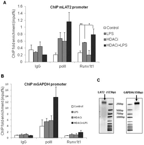 Ac Chip Analysis Revealed That Binding Of Runx1t1 To The Promoter Download Scientific Diagram