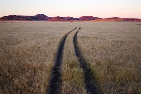 Circuit Exploration Sauvage En Terre Namibiennes Namibie