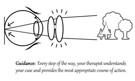 Myopia Rehabilitation Options Endmyopia®