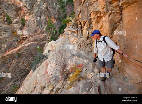 Hiker Hanging On To Chain On Hidden Canyon Trail At Zion National Park Utah Agpix 1918 Stock