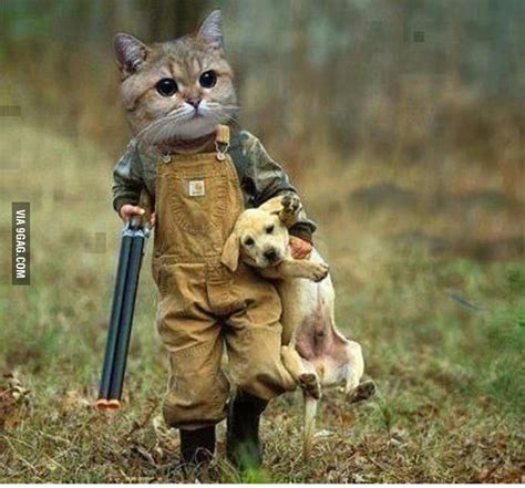 Tough Cat 9gag