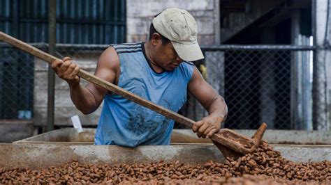 El precio del cacao marca un récord por encima de 10 000 dólares y