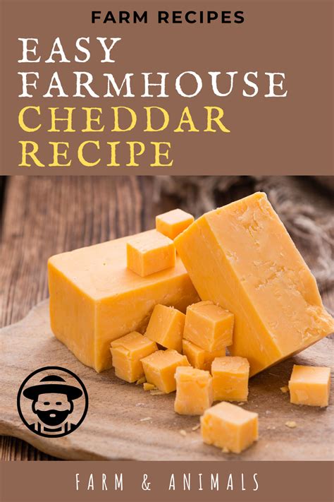 Easy Farmhouse Cheddar Recipe Cheese Making Recipes Cheese Recipes Homemade Cheddar Recipes