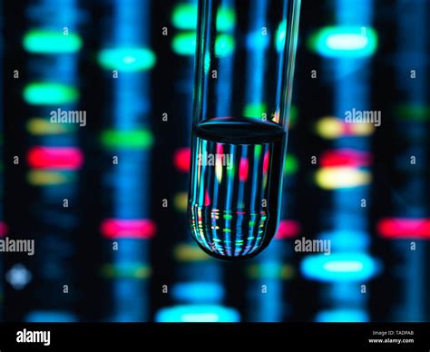 Dna profile hi-res stock photography and images - Alamy