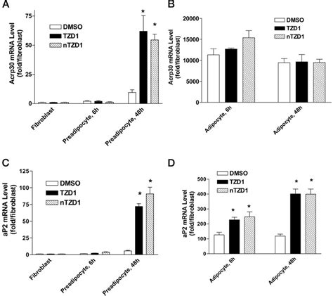 Effect Of Ppar Agonists On Acrp30 And Ap2 Gene Expression In 3t3 L1