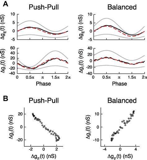 Estimation Of Excitatory And Inhibitory Synaptic Conductance Variations In Motoneurons During