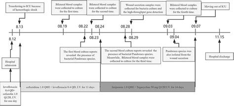 The Treatment Timeline Showed Clinical Manifestations Significant Download Scientific Diagram